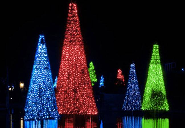 Seaworld’s Christmas Celebration Sea of Trees