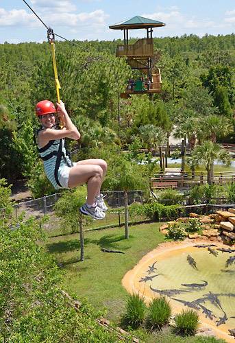 Discover Screamin’ Gator Zipline!