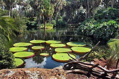 Bok Tower Gardens Pond View 