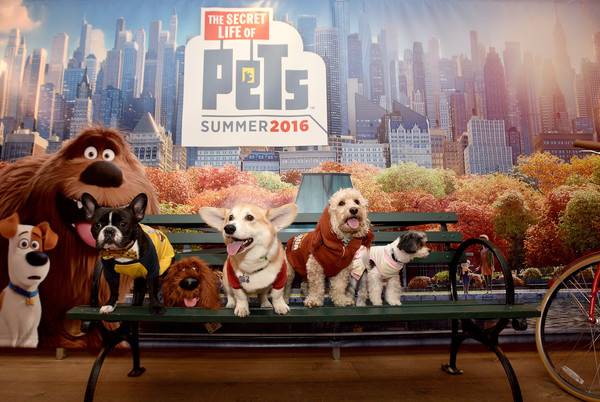 The Secret Life of Pets Ride Coming to Universal Orlando!