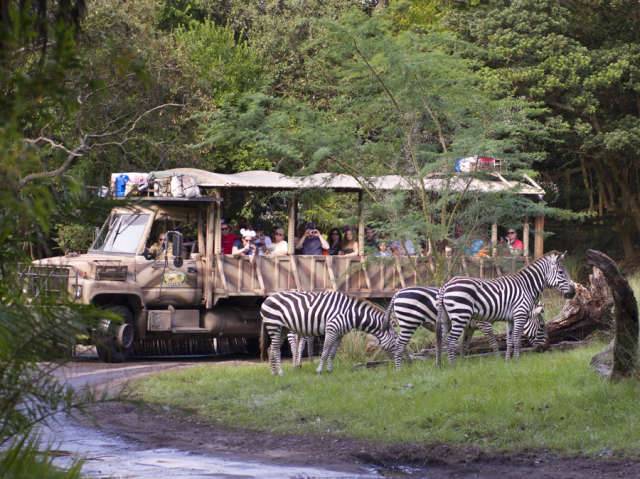 Some attractions not operating today at Disney’s Animal Kingdom