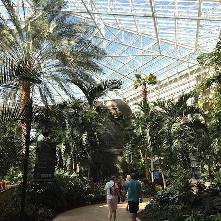 Gaylord Palms Atrium 