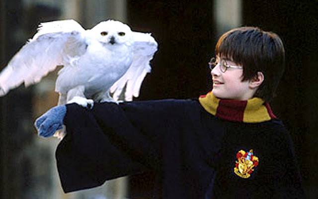 Harry Potter & the Sorcerer's Stone Harry with Owl