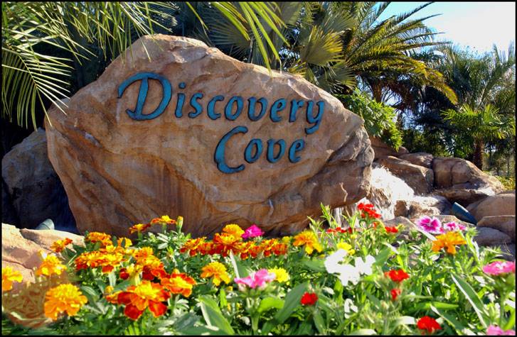 Discovery Cove Ticket Opens Doors for Florida Residents