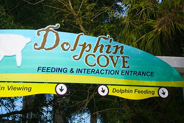 Dolphin Nursery at SeaWorld Orlando New Experience
