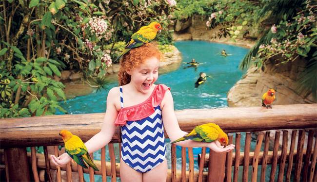 volcano bay discount tickets Discount legoland tickets