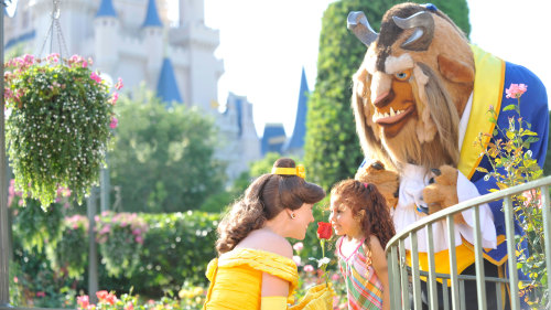 10 Tips To Travel To Disney World