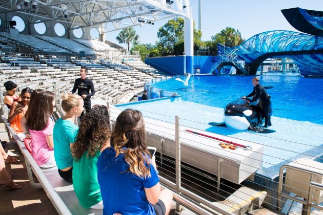 SeaWorld Orlando adds new Killer Whale Up-close Tour experience