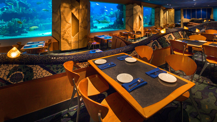 Coral Reef Restaurant closing for short refurbishment in August