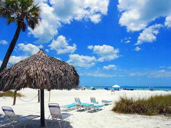 Top 10 Beaches To Explore in Florida