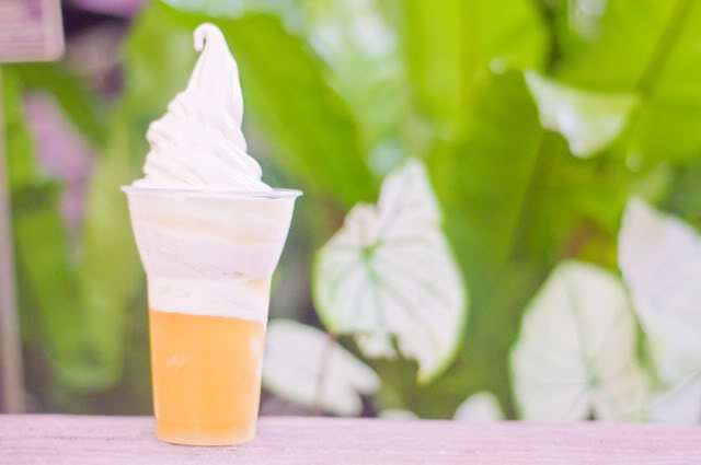 Top 10 Disney’s Magic Kingdom Snacks and Treats