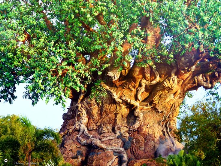 Top 5 Hidden Things in Walt Disney World