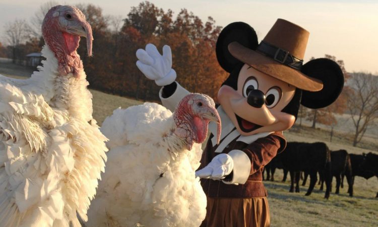 8 Places to Enjoy Thanksgiving at Walt Disney World