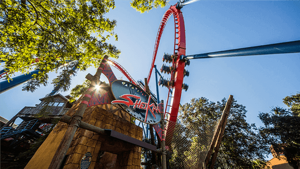 Top 5 Roller Coasters Of Busch Gardens Tampa