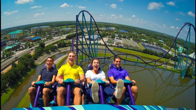 A Visit to SeaWorld Orlando, MAKO, Infinity Falls, Baby Walruses