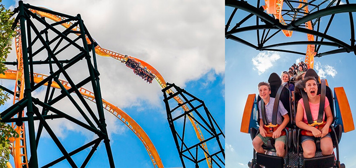 Tigris Roller Coaster Coming to Busch Gardens Tampa Bay in 2019