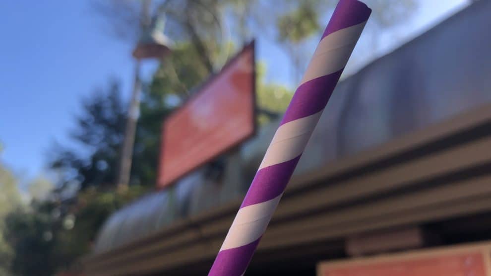 Disney Officially Banning Plastic Straws in Parks