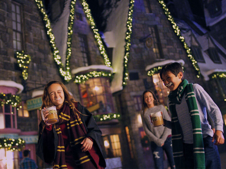 Holidays at Harry Potter World | Universal Studios Orlando