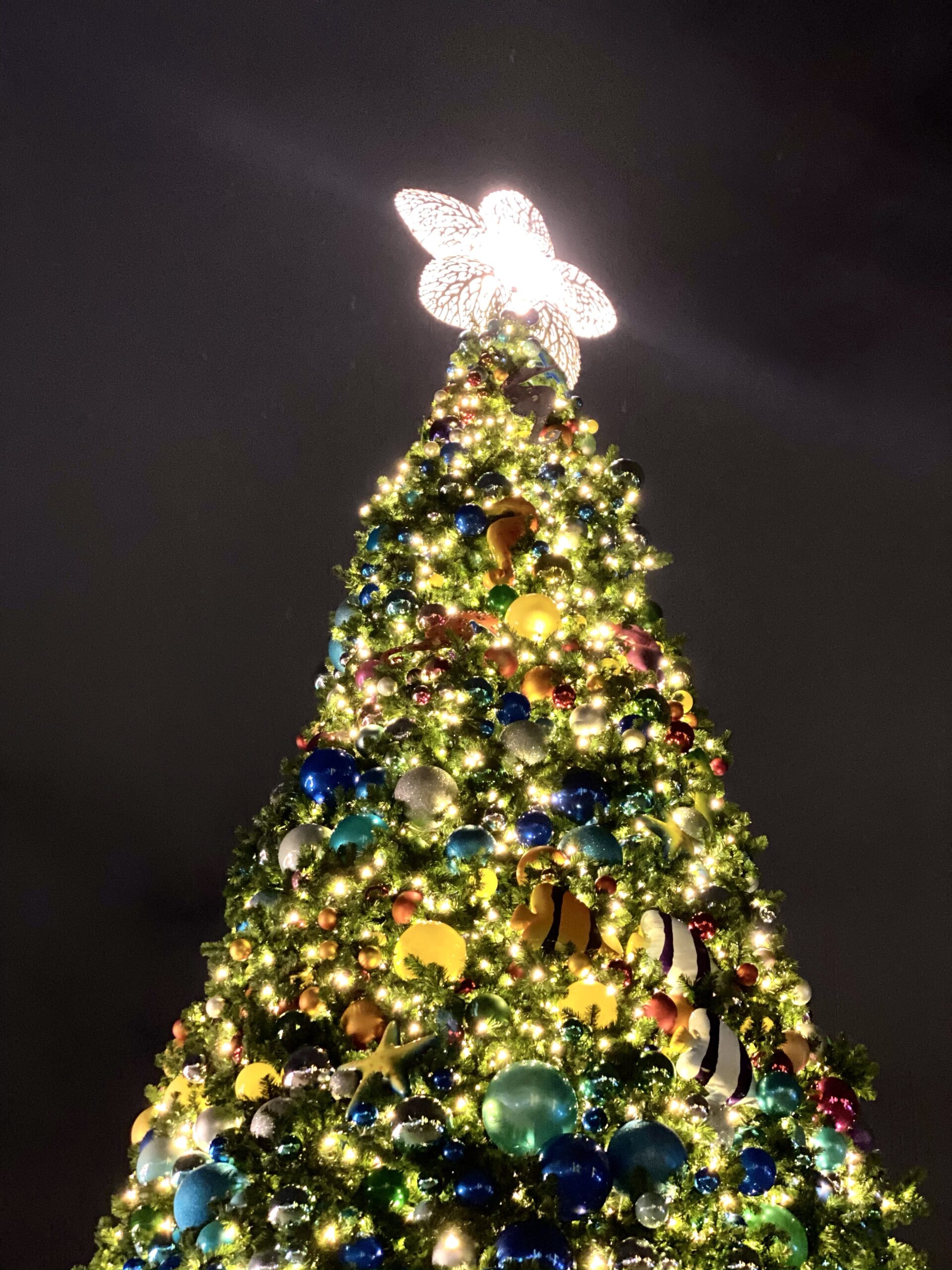 SeaWorld’s Christmas Celebration main Christmas tree