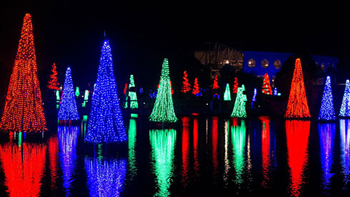 SeaWorld’s Christmas Celebration Sea of trees