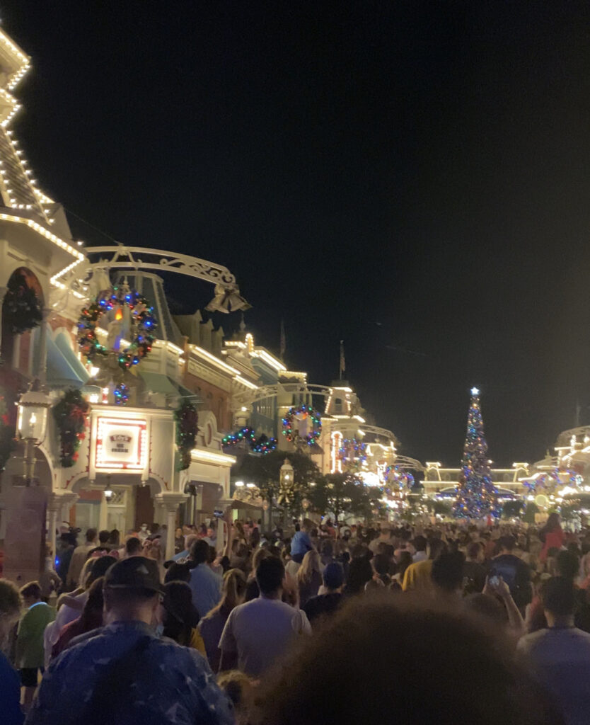 Won’t Do Again In Disney World Is Be Stuck In This Very Large And Packed Crowd