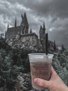 Wizarding World Of Harry Potter Hogwarts Castle