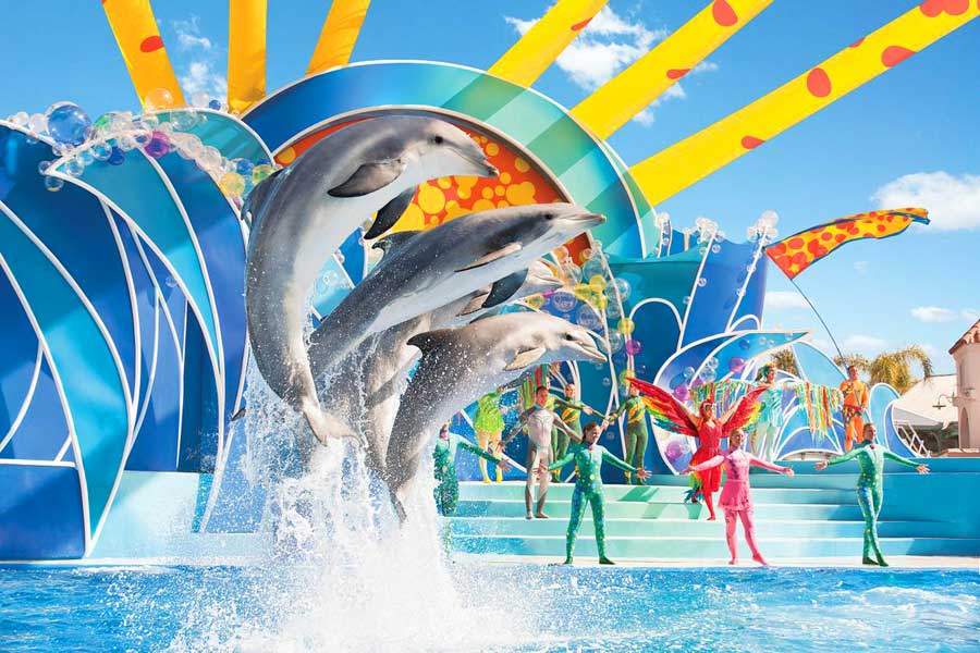 3 Things I Wish I Knew Before Booking Renaissance Orlando At SeaWorld