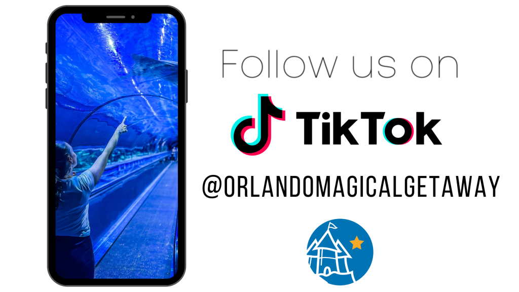 Follow us on TikTok to stay up to date with the latest in Orlando