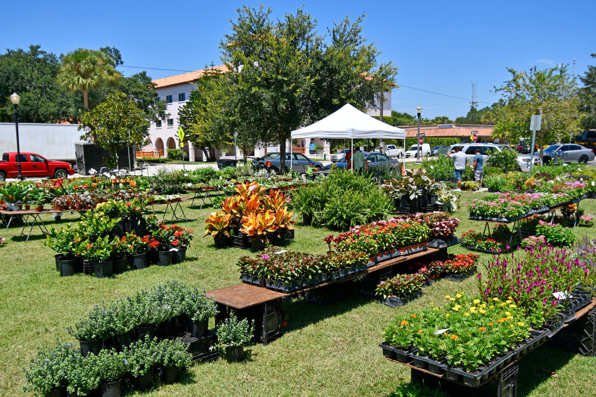 Discover the Best Orlando Local Farmers Markets: Fresh Produce and Unique Finds