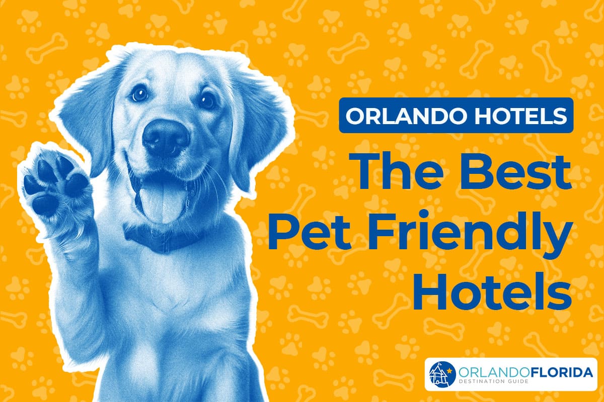 Discover the best Orlando Pet Friendly Hotels