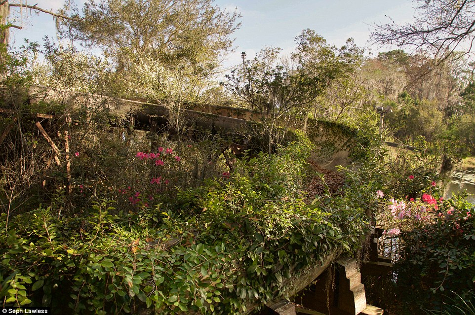 Zooming in: Photographer Seph Lawless informed Dailymail.com that he's officially banned from Disney World because he dared take frighteningly beautiful images of water slides consumed by flowers and vines along with signs to attractions that no longer exist