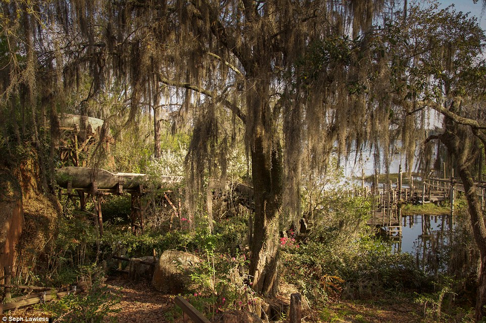 Decay: Disney's River Country opened as Walt Disney World's first water park in 1976 and after closing in 2001, it was left to crumble, according to Seph Lawless