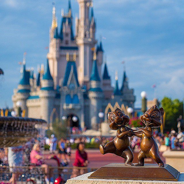 Image result for What 10 Things Should I Pack When Going to Disney?