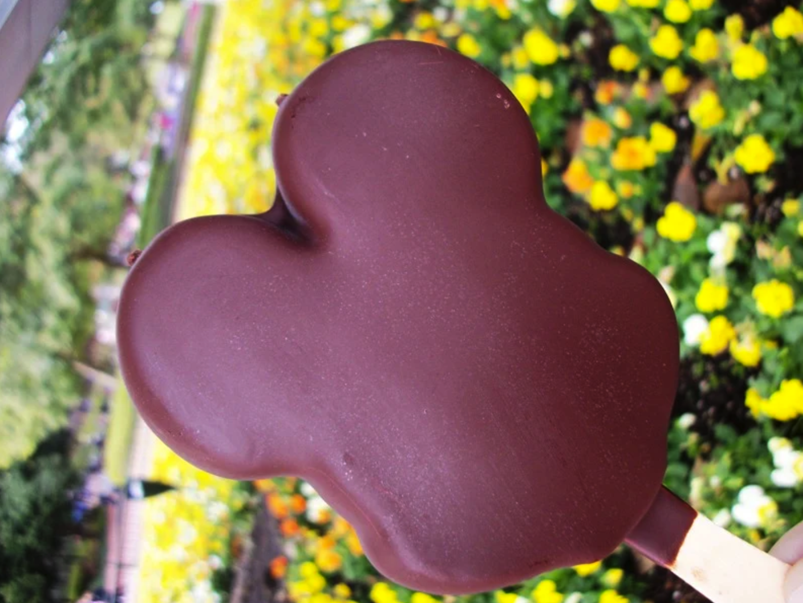 mickey_ice_cream_bar