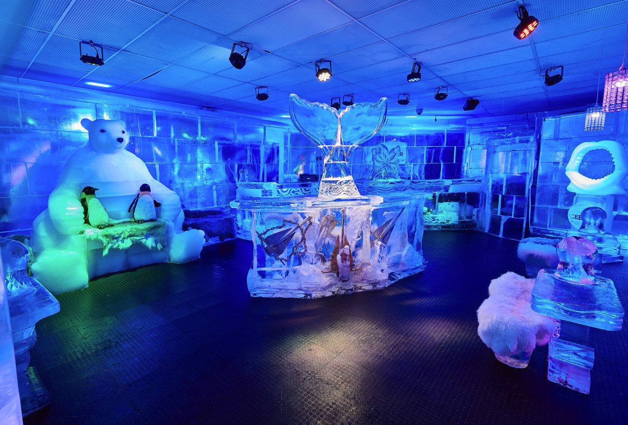Image result for Orlando’s famous Ice Bar