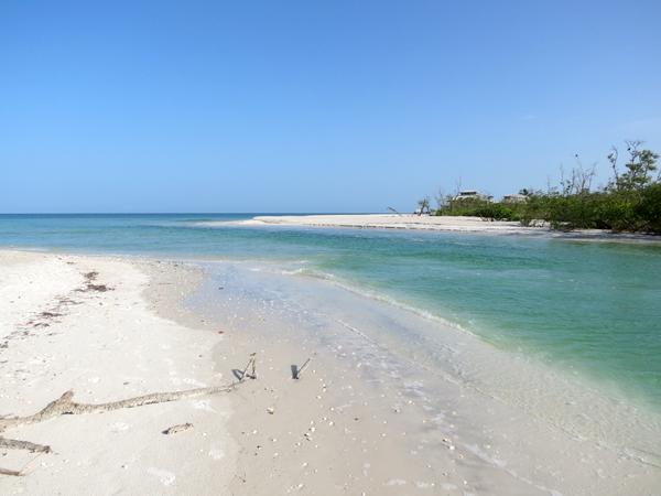 Image result for naples beach florida