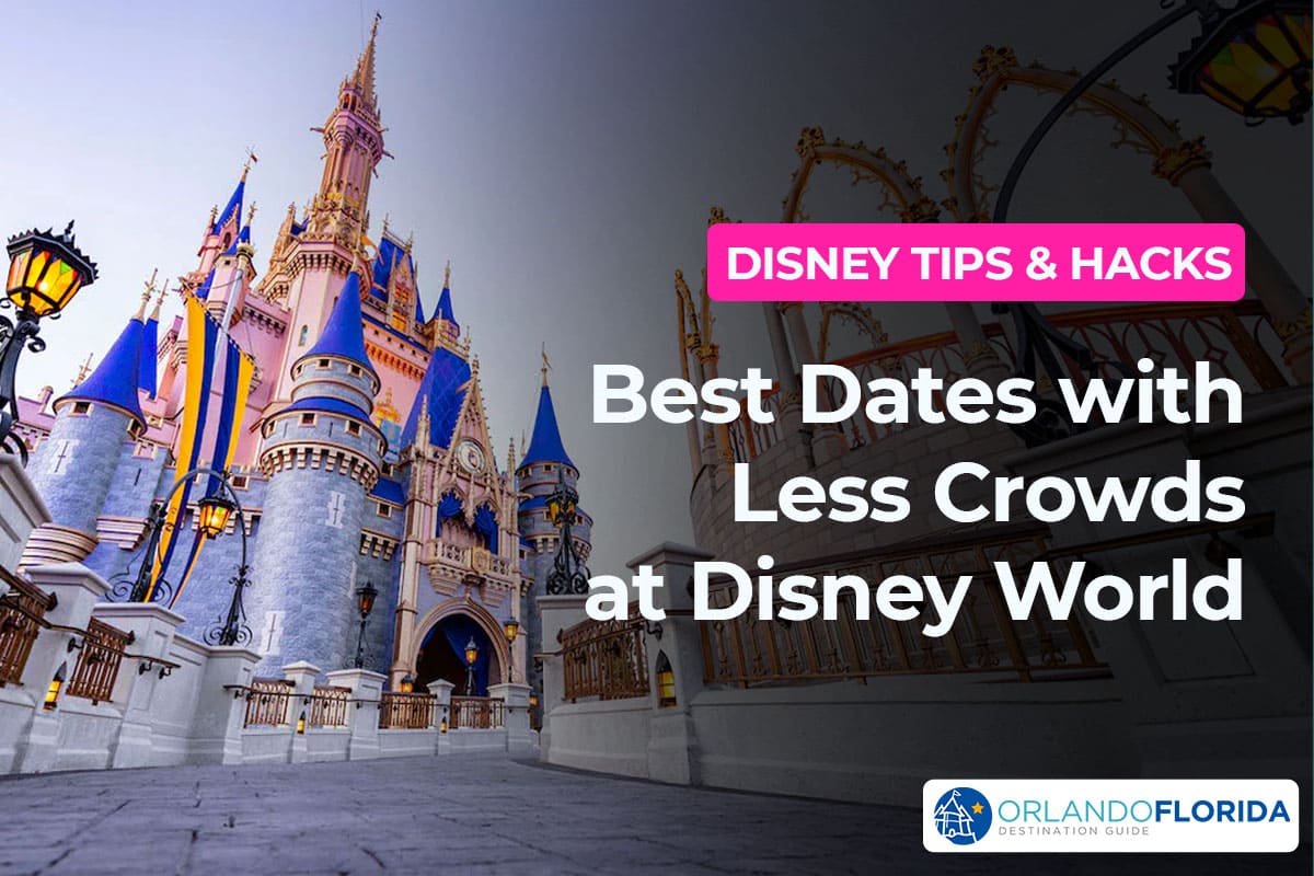Walt Disney World Empty 2024: Dates and Tips